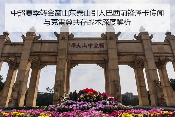 中超夏季转会窗山东泰山引入巴西前锋泽卡传闻与克雷桑共存战术深度解析