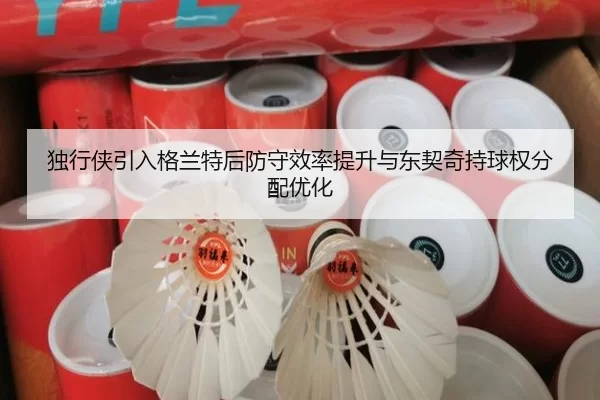 du-xing-xia-yin-ru-ge-lan-te-hou-fang-shou-xiao-lv-ti-sheng-yu-dong-qi-qi-chi-qiu-quan-fen-pei-you-hua-3-180.jpg